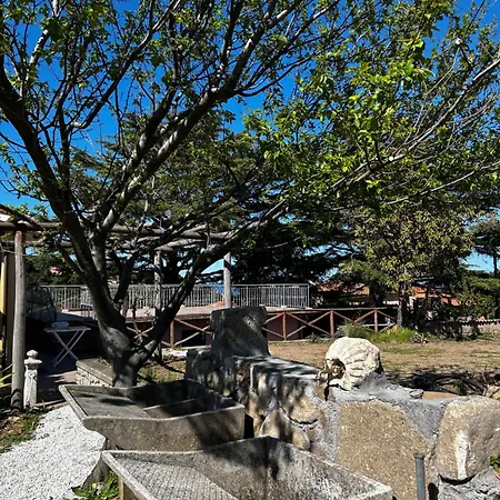 Da Davide Marciana Marina (Isola d'Elba)