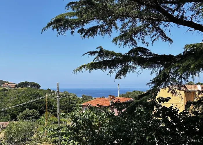 Da Davide Marciana Marina (Isola d'Elba)