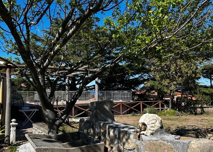 Da Davide Marciana Marina (Isola d'Elba)