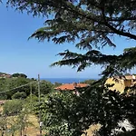 Da Davide Marciana Marina (Isola d'Elba)